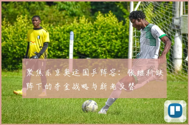 聚焦东京奥运国乒阵容：张继科缺阵下的夺金战略与新老交替