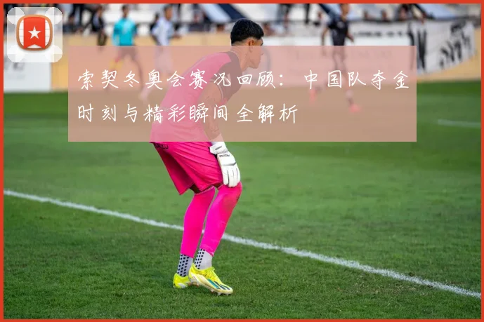 索契冬奥会赛况回顾：中国队夺金时刻与精彩瞬间全解析