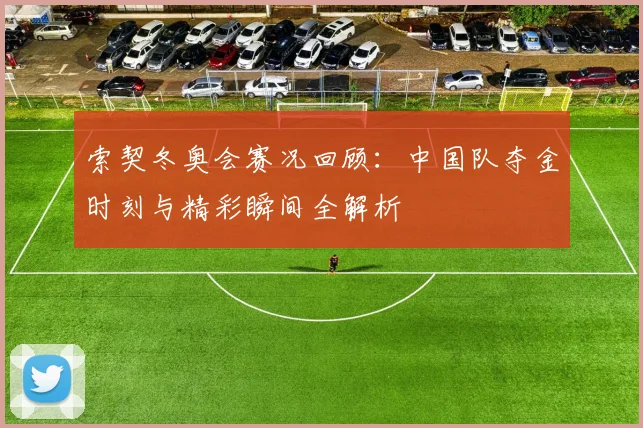 索契冬奥会赛况回顾：中国队夺金时刻与精彩瞬间全解析