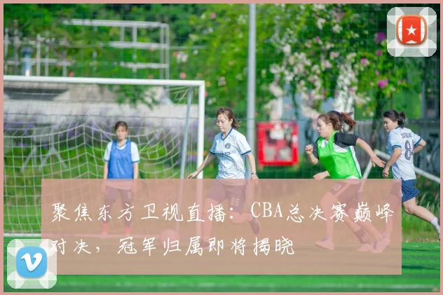 聚焦东方卫视直播：CBA总决赛巅峰对决，冠军归属即将揭晓