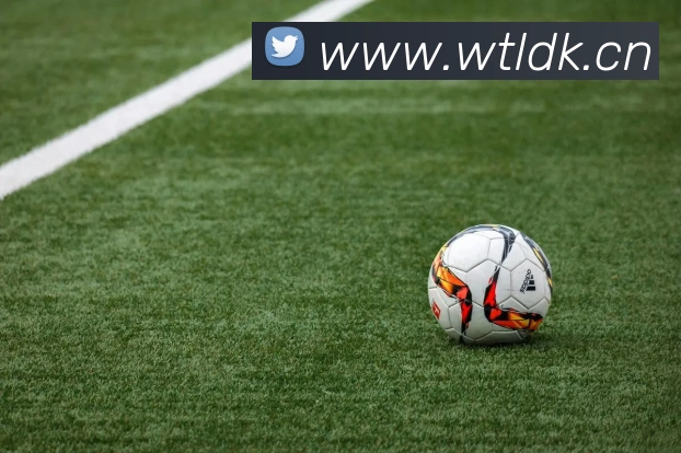 星空官方网站服务体系